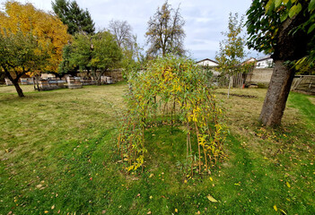 I build on playgrounds and in private gardens or parks. stuck branches form a circle, the above-ground part is woven into the shape of a dome with willow rods planted in the ground. circle, dome, tent © Michal