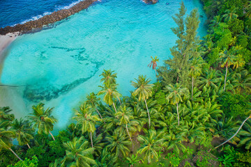 Fototapeta na wymiar Bird eye drone of Port Glaud beach, turquoise water, coconut palm, greenery, trees, sunny day, Mahe Seychelles