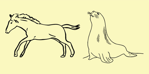 Horse, fur seal. Vector drawing, eps