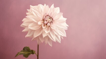  a large white flower sitting on top of a wooden table.  generative ai