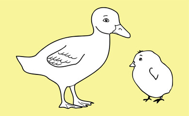 Duck, chicken. Vector drawing, eps