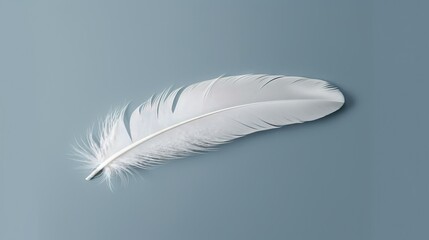  a white feather floating on a blue background with a shadow.  generative ai