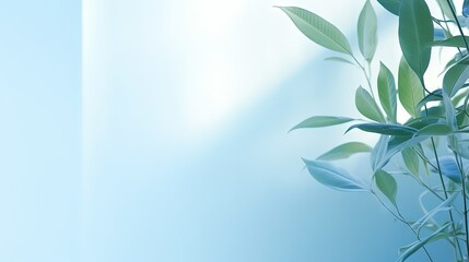  a plant with green leaves on a blue background with a white wall.  generative ai