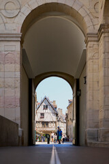 Fototapeta premium Palais des Ducs et des États de Bourgogne, Dijon, France
