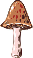 Mushroom Vegetables, organic nutrition. Fresh vitamin grocery products.