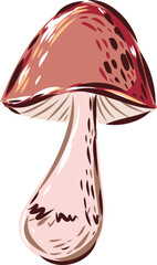 Mushroom Vegetables, organic nutrition. Fresh vitamin grocery products.