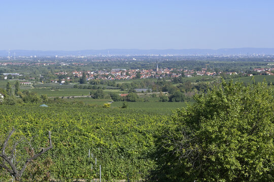 freinsheim