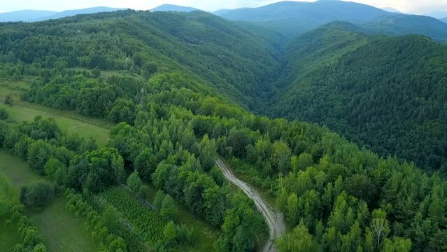 Aerial drone flight above several orchards located in a hilly region near a forest, under the mountains, a forest cabin and a gravel road winding along the valleys. Rural scenery in Eastern Europe 