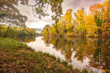 herbstlicher Wald am Seeufer mit Reflektionen im Wasser