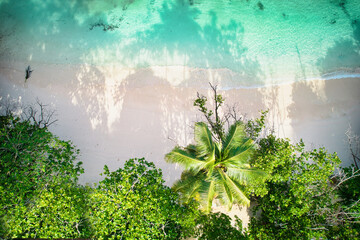 Bird eye drone of baie lazare beach, granite stones, turquoise water, coconut palm trees, sunny day, Mahe Seychelles 