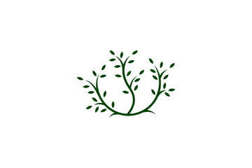 Bonsai logo design with simple shapes