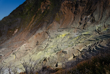 vulcanic hills near mount Fuji.