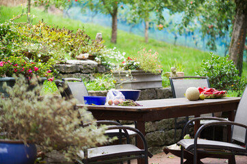 Blick über den Tisch in den Garten
