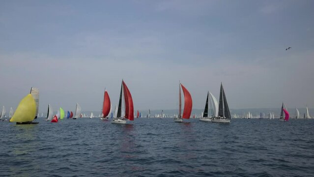 Sailing regatta in Barcolana 55 in Trieste, Italy. Sailing boats with spinnakers and gennakers.