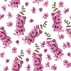 A seamless pattern of Angelonia flower. vector illustation. flower background.