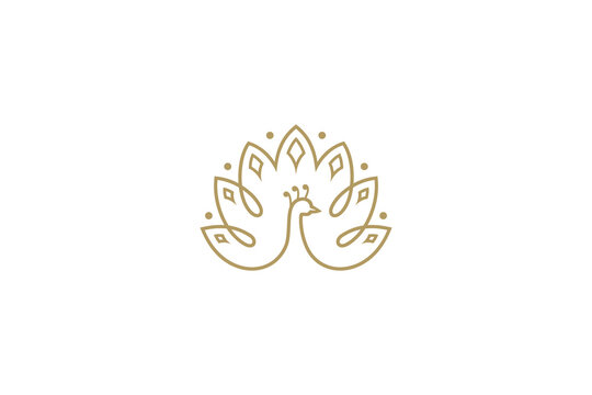 peacock gold line art logo design