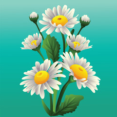 daisy flower bellis flower icon 