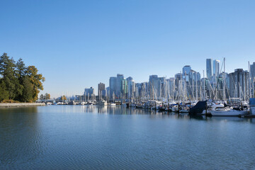 The skyline of Vancouver as seen from Stanley Park during a fall season in British Columbia, Canada