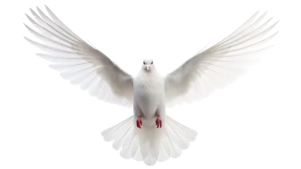 Foto op Plexiglas Flying white doves isolated on transparent background © shamim