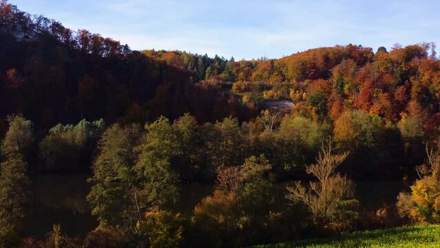 Drone flying over colorful autumn leaf tree forest with freight train on sunny day