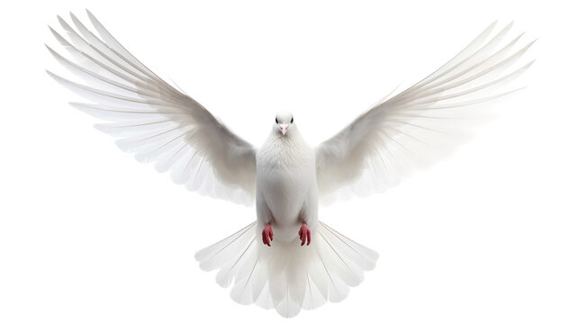 Flying white doves isolated on transparent background
