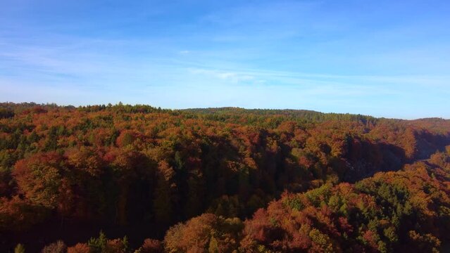 Drone flying over colorful autumn leaf tree forest on sunny day