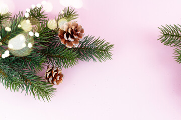 Evergreen twigs on pink background with copy space