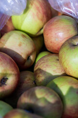Closeup of a basket of apples at a fall farmers market