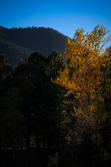 autumn in the mountains