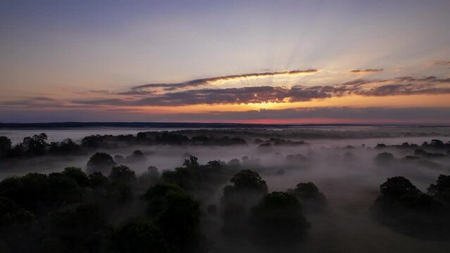 Time-lapse misty sunrise over Sussex countryside