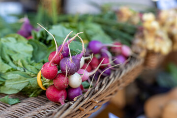 A bunch of radishes in a basket at a local farmers market