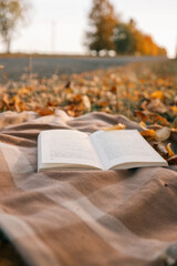 Naklejka na ściany i meble Open book on a blanket in the autumn forest