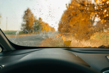 Car window with raindrops, autumn wallpaper
