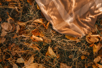 Autumn scarf on autumn leaves, top view