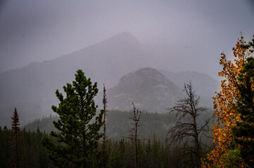 fog in the mountains