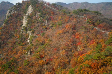 북한산 정릉 단풍