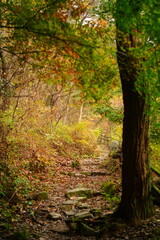 북한산 정릉 단풍