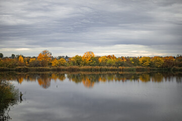 view of the river with trees in autumn