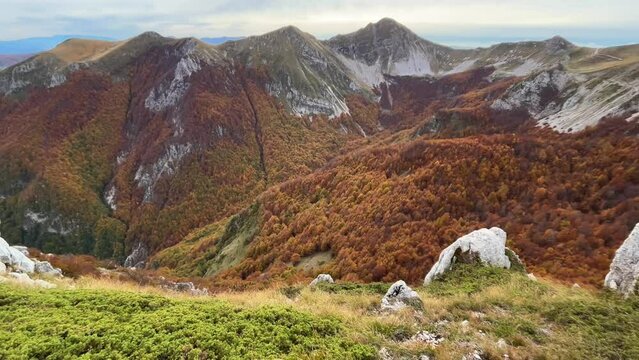 Magic autumn beech forest high in the italian mountains with beautiful brown leaves, Mount Terminillo, Italy