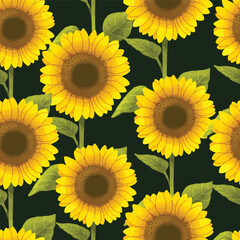 Seamless pattern of sunflower and green leaves on black background, Vintage floral background, Pattern for design wallpaper, gift wrap paper and fashion prints.