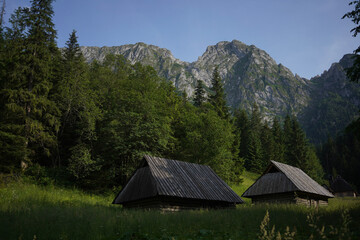 Fototapeta na wymiar Shepherd's huts in the Tatra mountains with mountains in the background