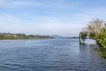 Landscape of Maas river, swimming swans, Belgian village, hills and trees in background blurred and misty, sunny summer day with blue sky and white fuzzy clouds in Eijsden, South Limburg, Netherlands