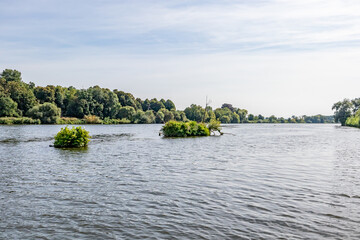 Maas river with calmly flowing waters between abundant green leafed trees, two islets of wild plants floating, sunny summer day with hazy blue sky in background, Eijsden in South Limburg, Netherlands