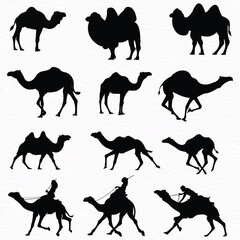 Silhouette set of Desert Camel with humps standing, running and walking.
