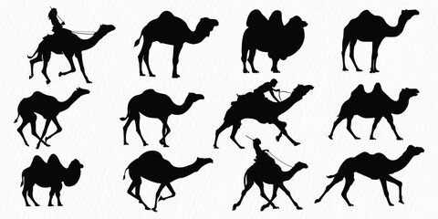 Silhouette set of Desert Camel with humps standing, running and walking.
 - obrazy, fototapety, plakaty