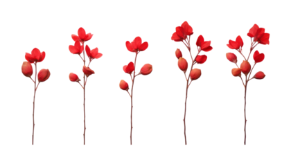 red flowers set isolated on transparent background cutout