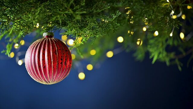 Christmas tree branch with red bauble and lights