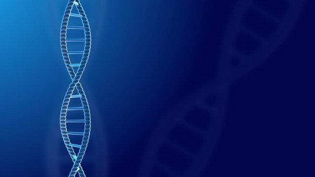DNA Strand Animation Spinning on blue background. Full Hd. 4K