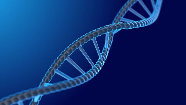 DNA Strand Animation Spinning on blue background. Full Hd. 4K
