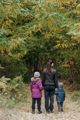 A family, a mother with her son and daughter, are walking through the forest in an outdoor park, holding hands. Photography, portrait.